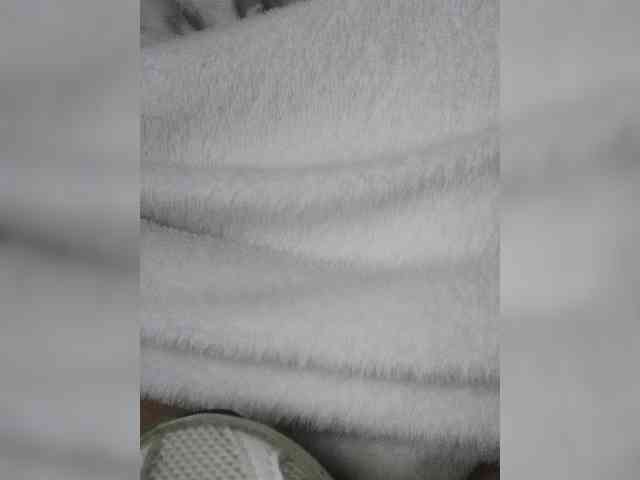 Juanitamami webcam