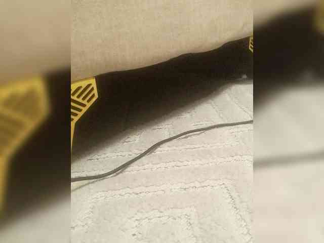 Juanitamami webcam
