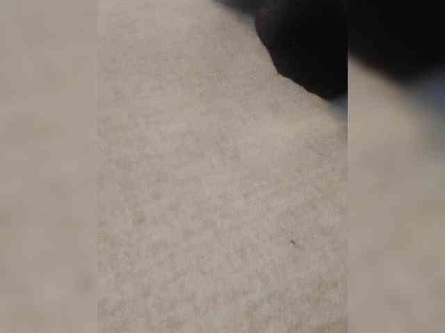 Juanitamami webcam