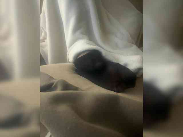 Juanitamami webcam