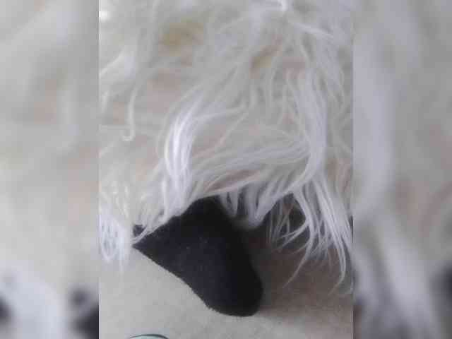 Juanitamami webcam