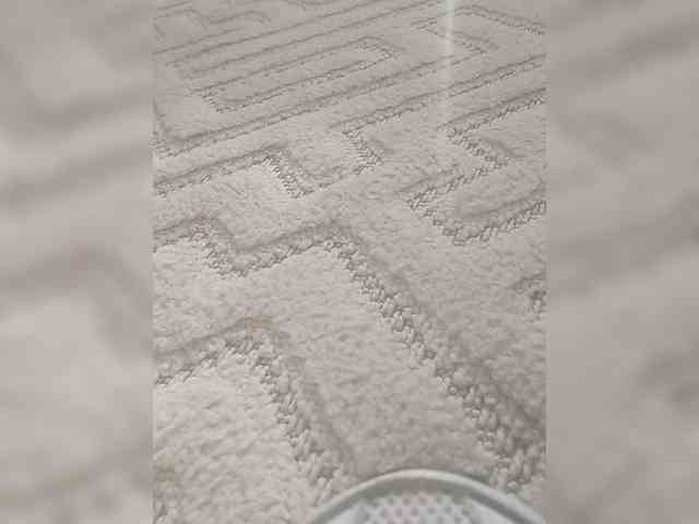 Juanitamami webcam