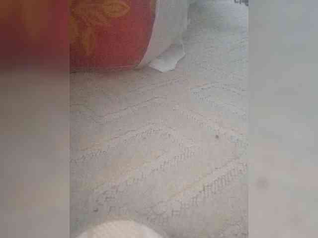Juanitamami webcam