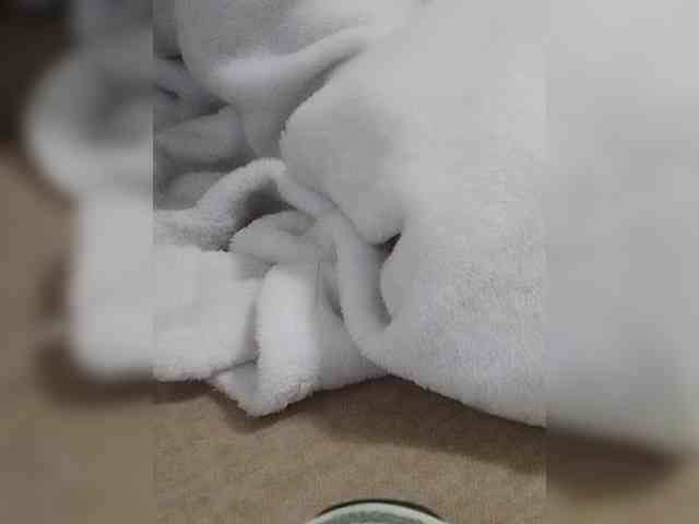 Juanitamami webcam