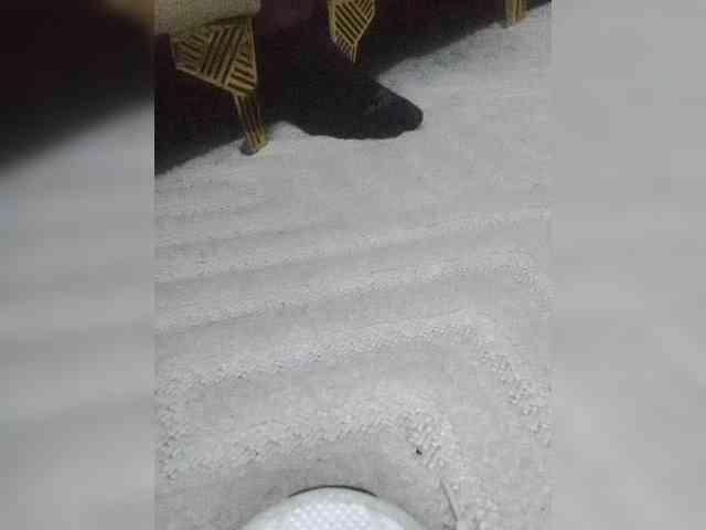Juanitamami webcam