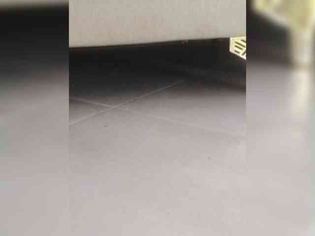 Juanitamami webcam