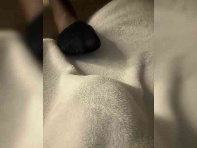 Juanitamami webcam