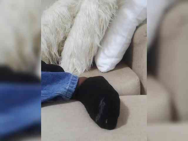 Juanitamami webcam