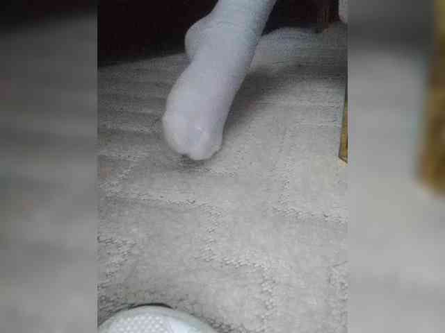 Juanitamami webcam