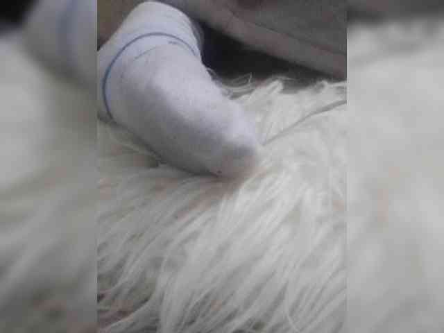 Juanitamami webcam