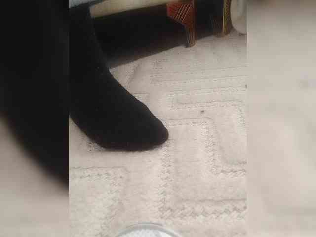 Juanitamami webcam
