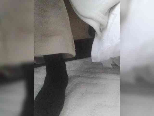 Juanitamami webcam