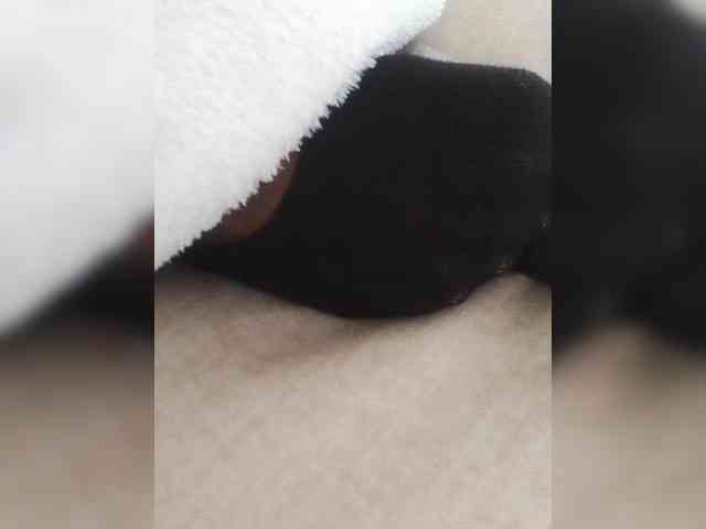 Juanitamami webcam