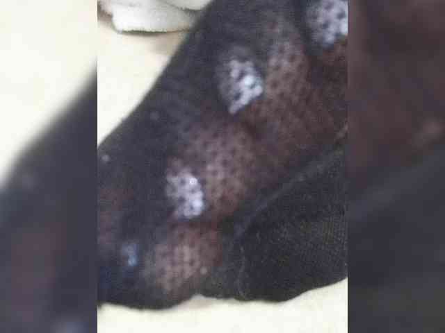 Juanitamami webcam