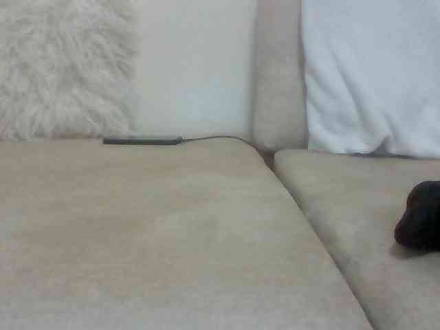 Juanitamami webcam