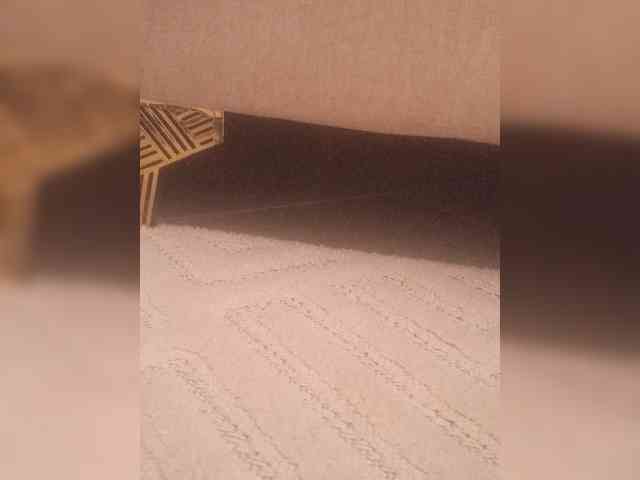 Juanitamami webcam