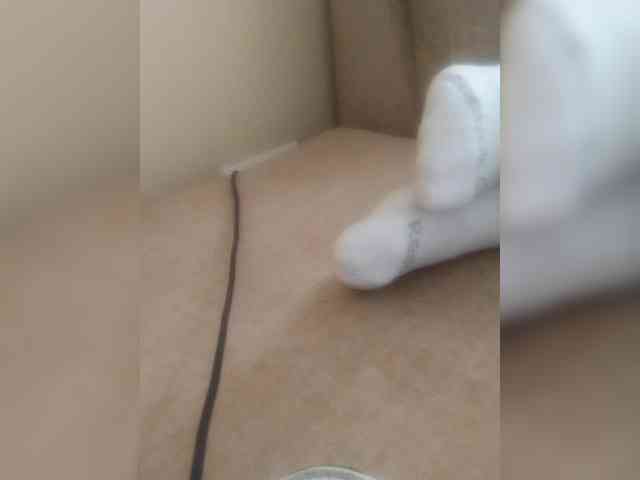 Juanitamami webcam