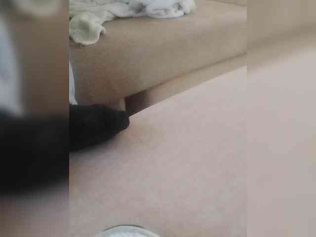 Juanitamami webcam