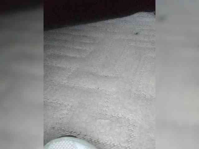 Juanitamami webcam