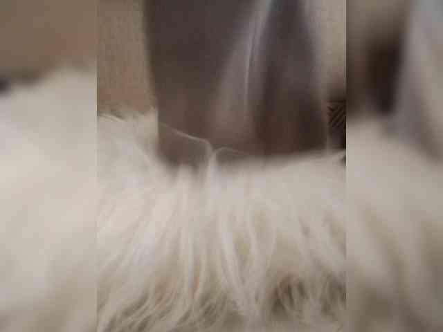 Juanitamami webcam