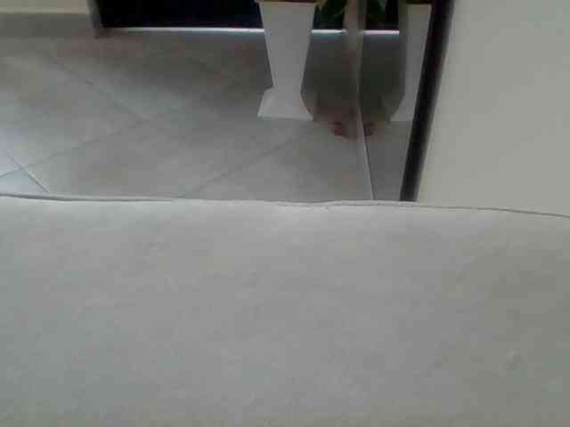 Juanitamami webcam