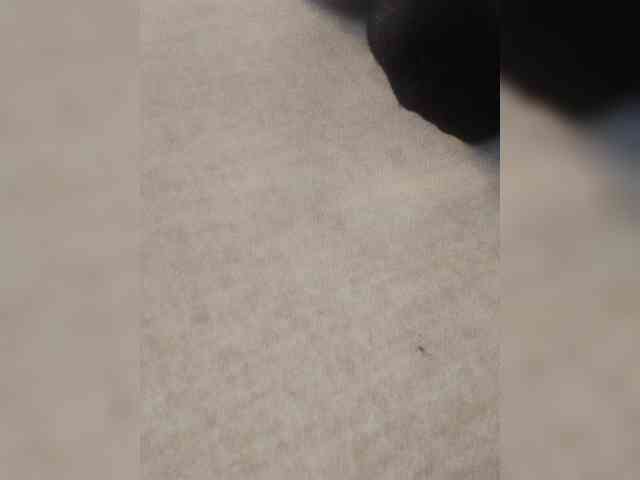 Juanitamami webcam