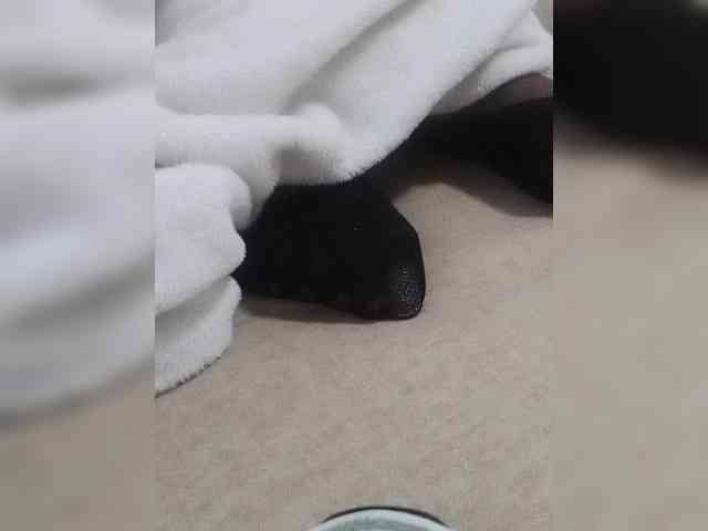 Juanitamami webcam
