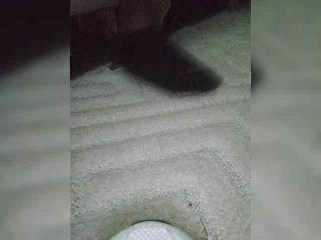 Juanitamami webcam