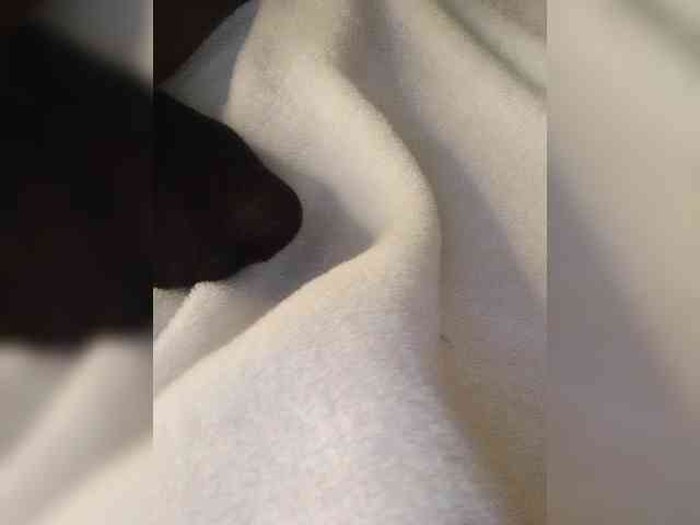 Juanitamami webcam