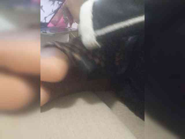 Juanitamami webcam