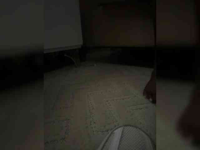 Juanitamami webcam