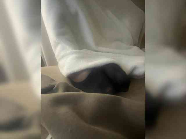 Juanitamami webcam