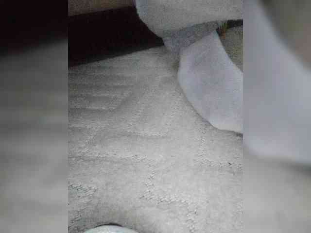 Juanitamami webcam