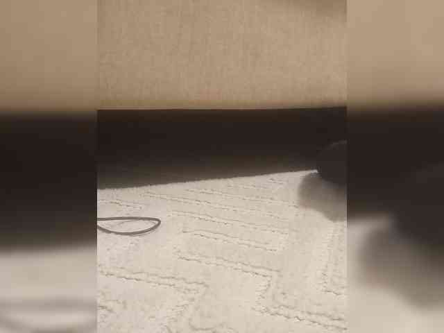 Juanitamami webcam