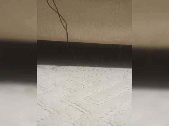 Juanitamami webcam