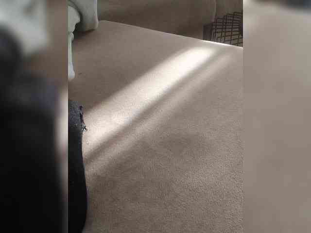 Juanitamami webcam