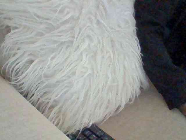 Juanitamami webcam