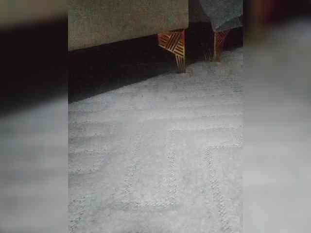 Juanitamami webcam
