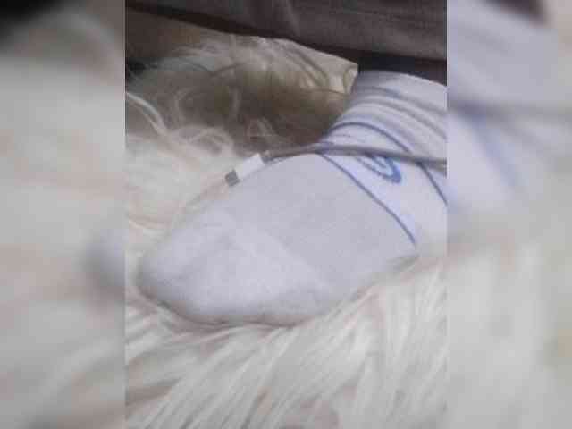 Juanitamami webcam