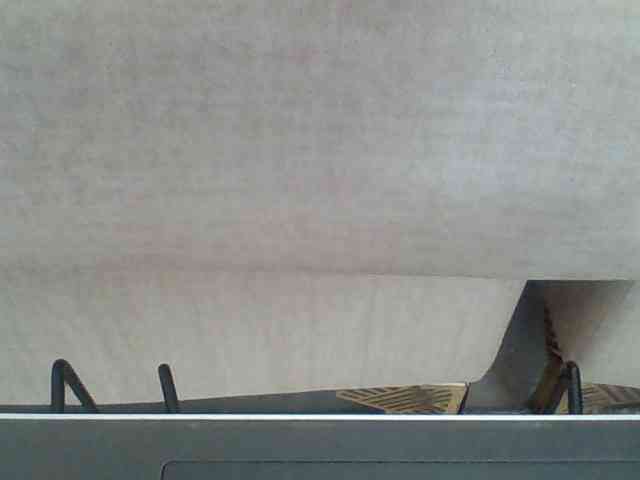 Juanitamami webcam