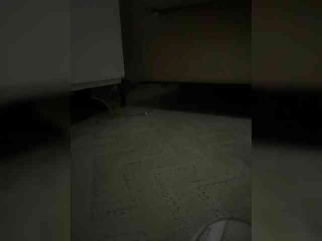 Juanitamami webcam