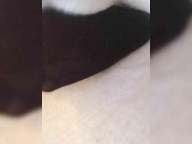 Juanitamami webcam