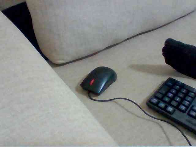 Juanitamami webcam