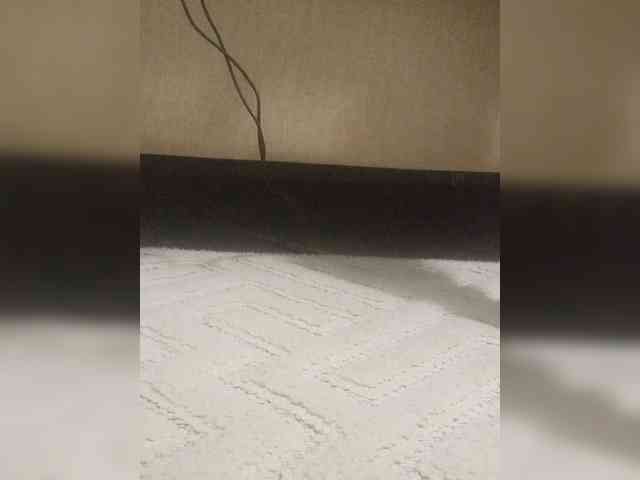 Juanitamami webcam
