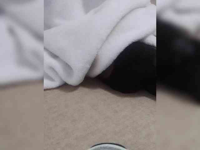 Juanitamami webcam