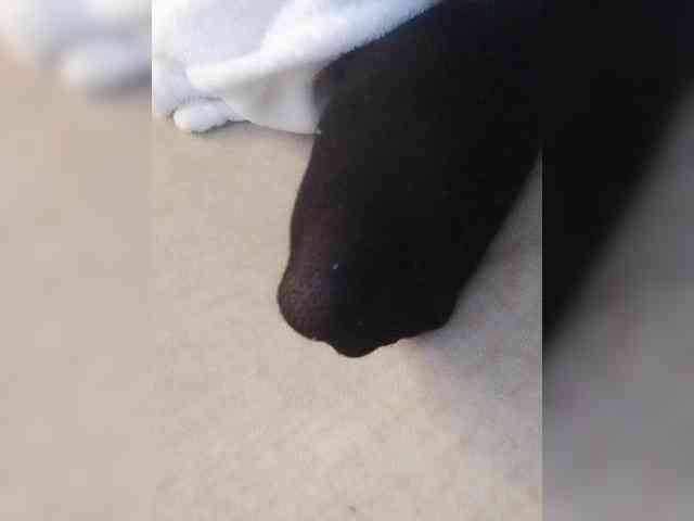 Juanitamami webcam