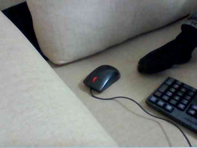 Juanitamami webcam