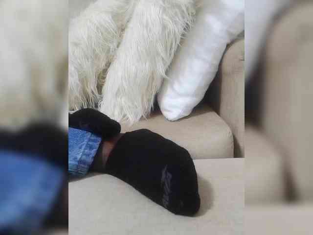 Juanitamami webcam