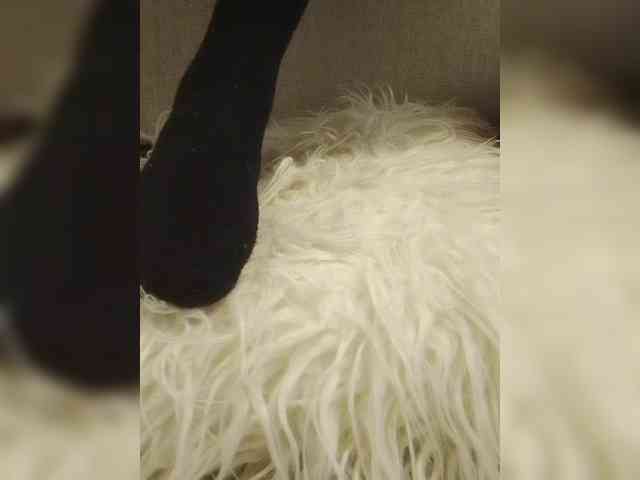 Juanitamami webcam