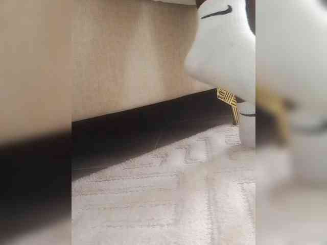 Juanitamami webcam